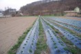 /album/micro-projets-2012/dsc-0196-jpg/